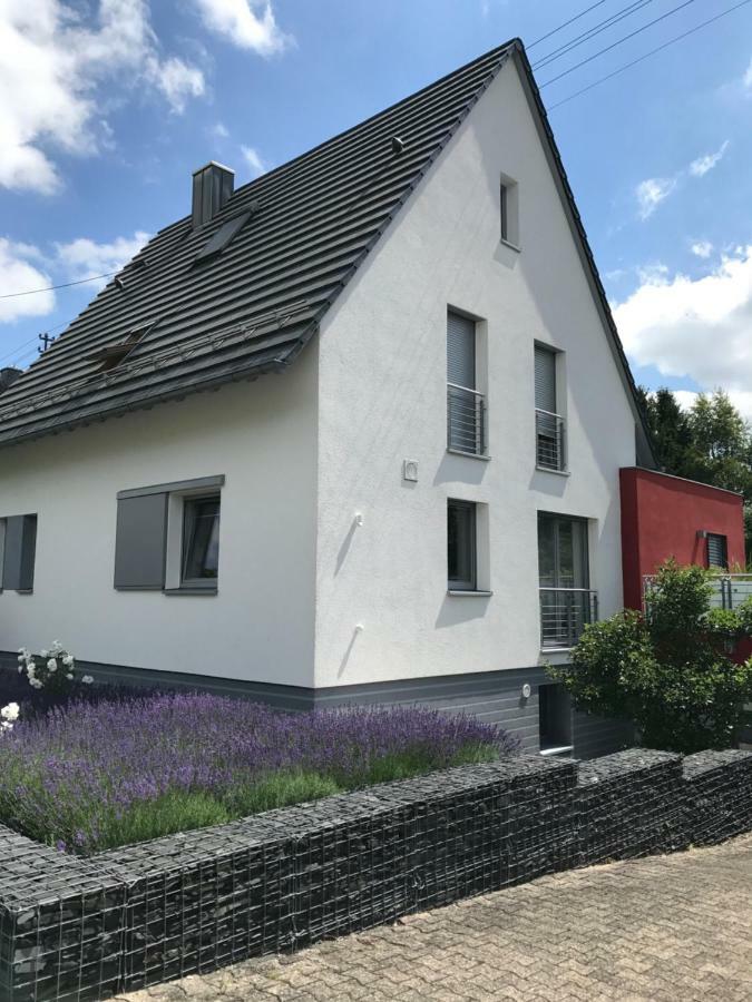 Wander- Und Aktivchalet ビルケンフェルト エクステリア 写真